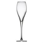 Luxe Champagne Glas 6x22,5cl